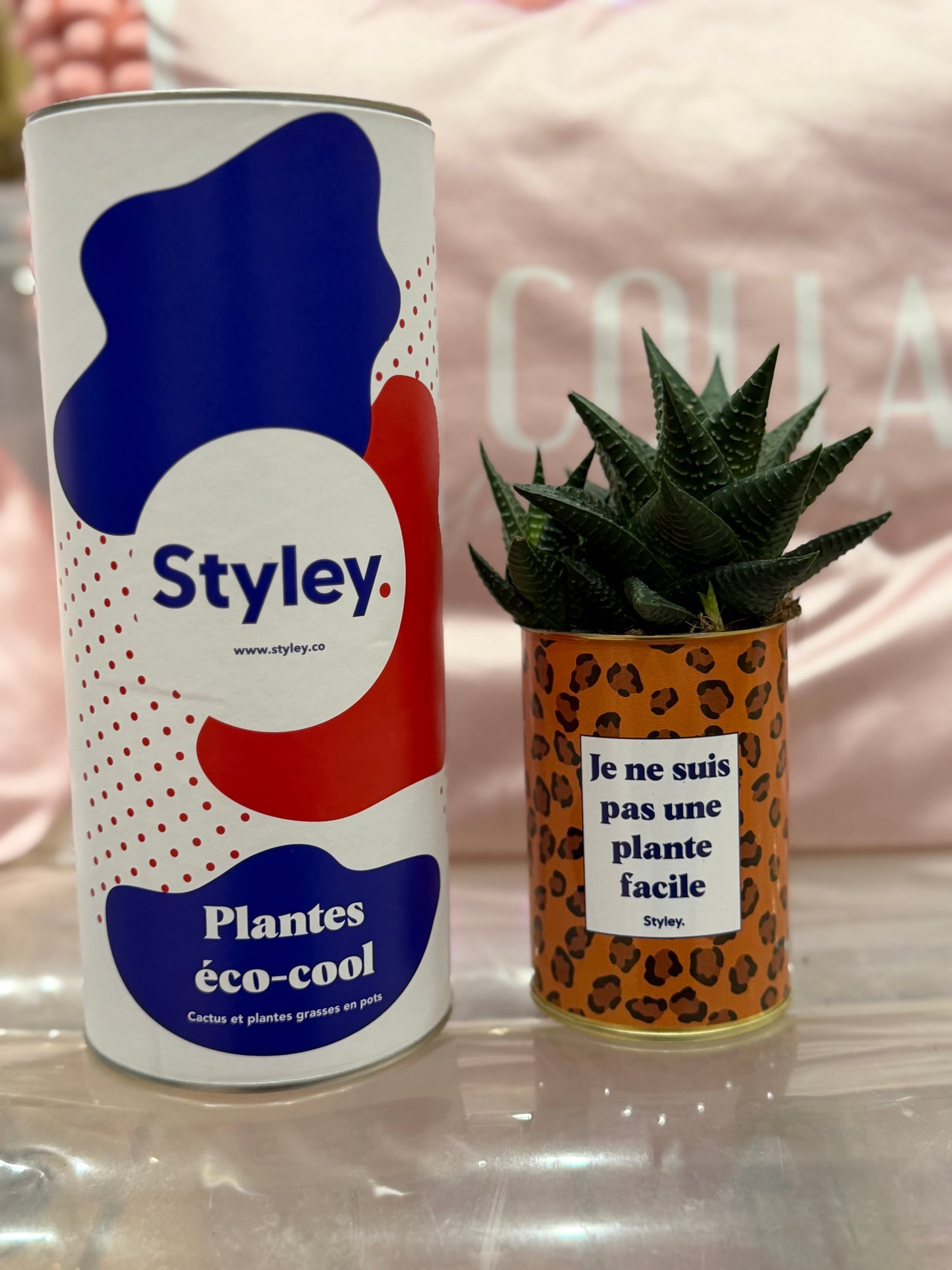 Cactus Je ne suis pas une plante facile