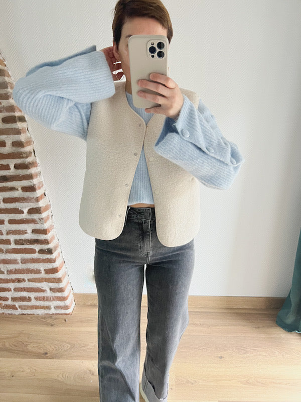 Pull Francine Bleu