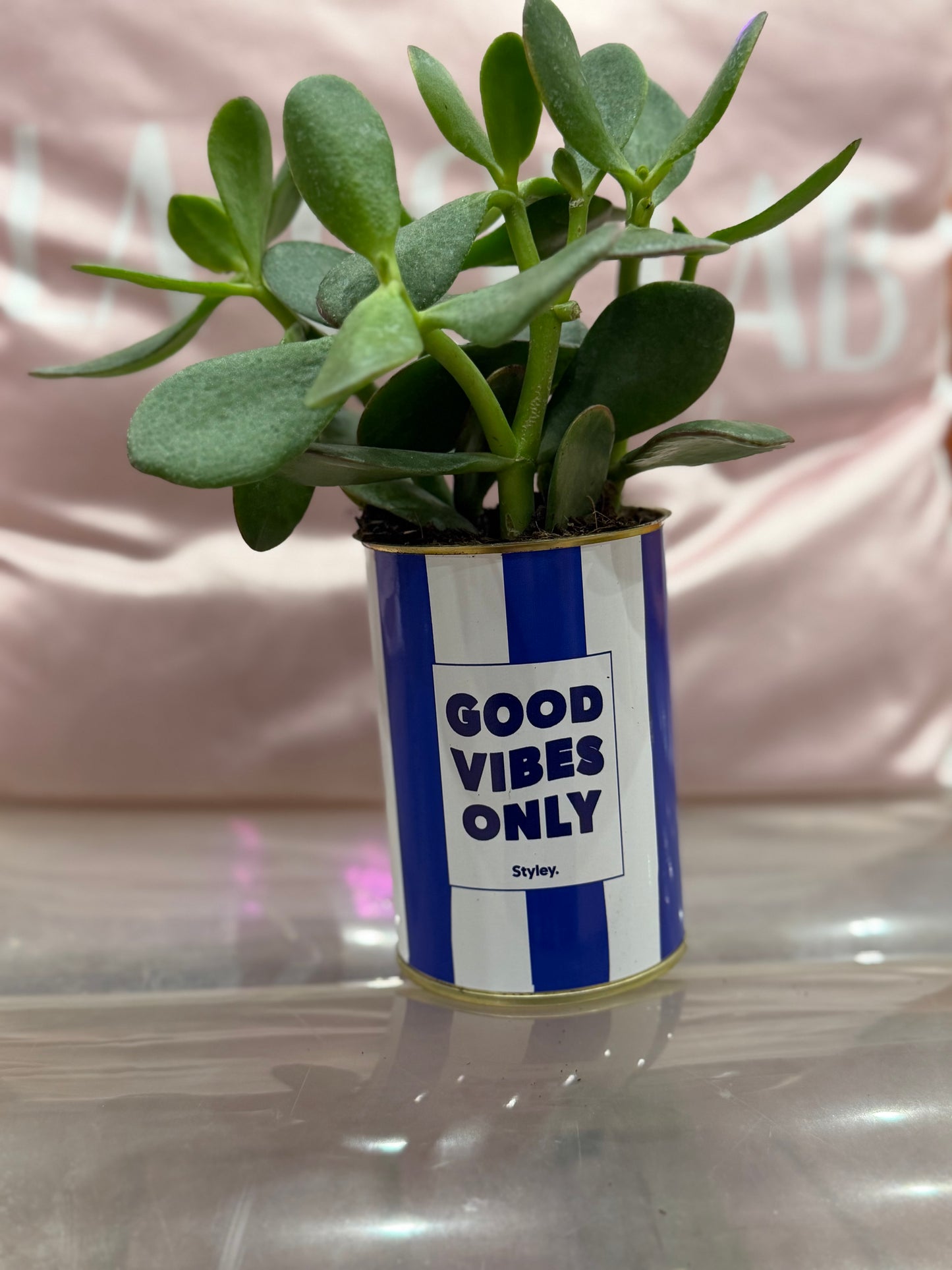 Cactus Good vibes only