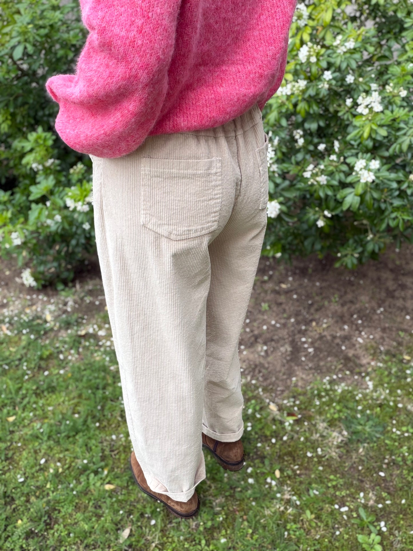 Pantalon BRUNE beige