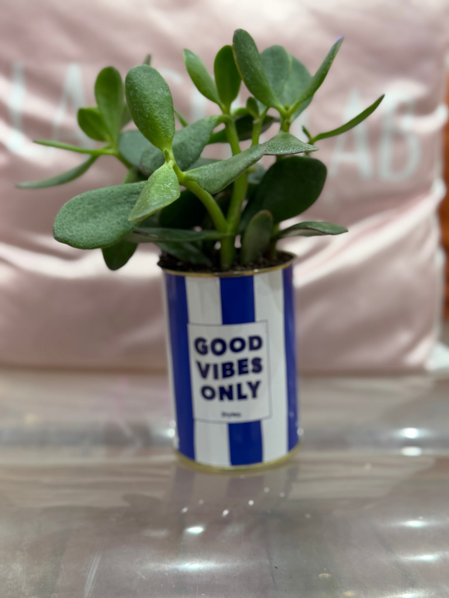 Cactus Good vibes only