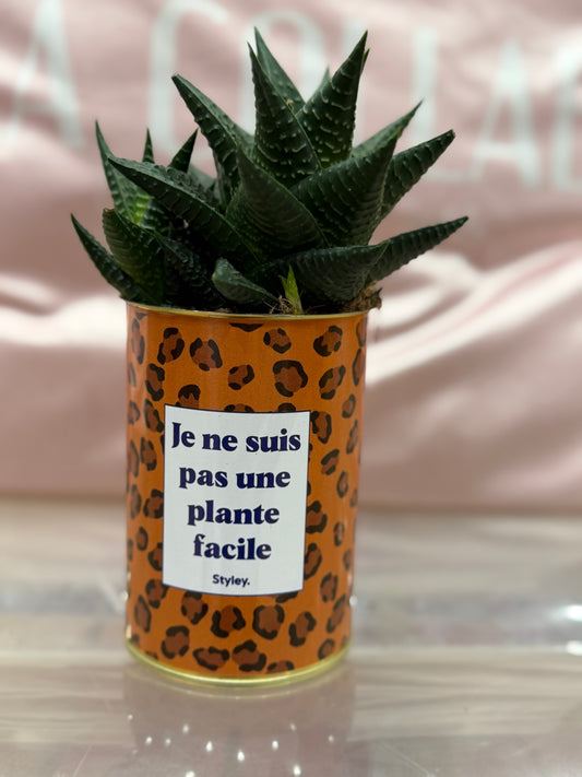 Cactus Je ne suis pas une plante facile